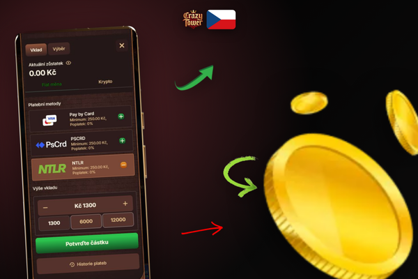 Infografika profilů hráčů a doporučených metod platby v Crazytower Casino